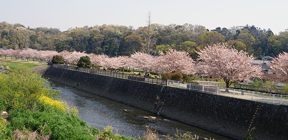 引地川親水公園